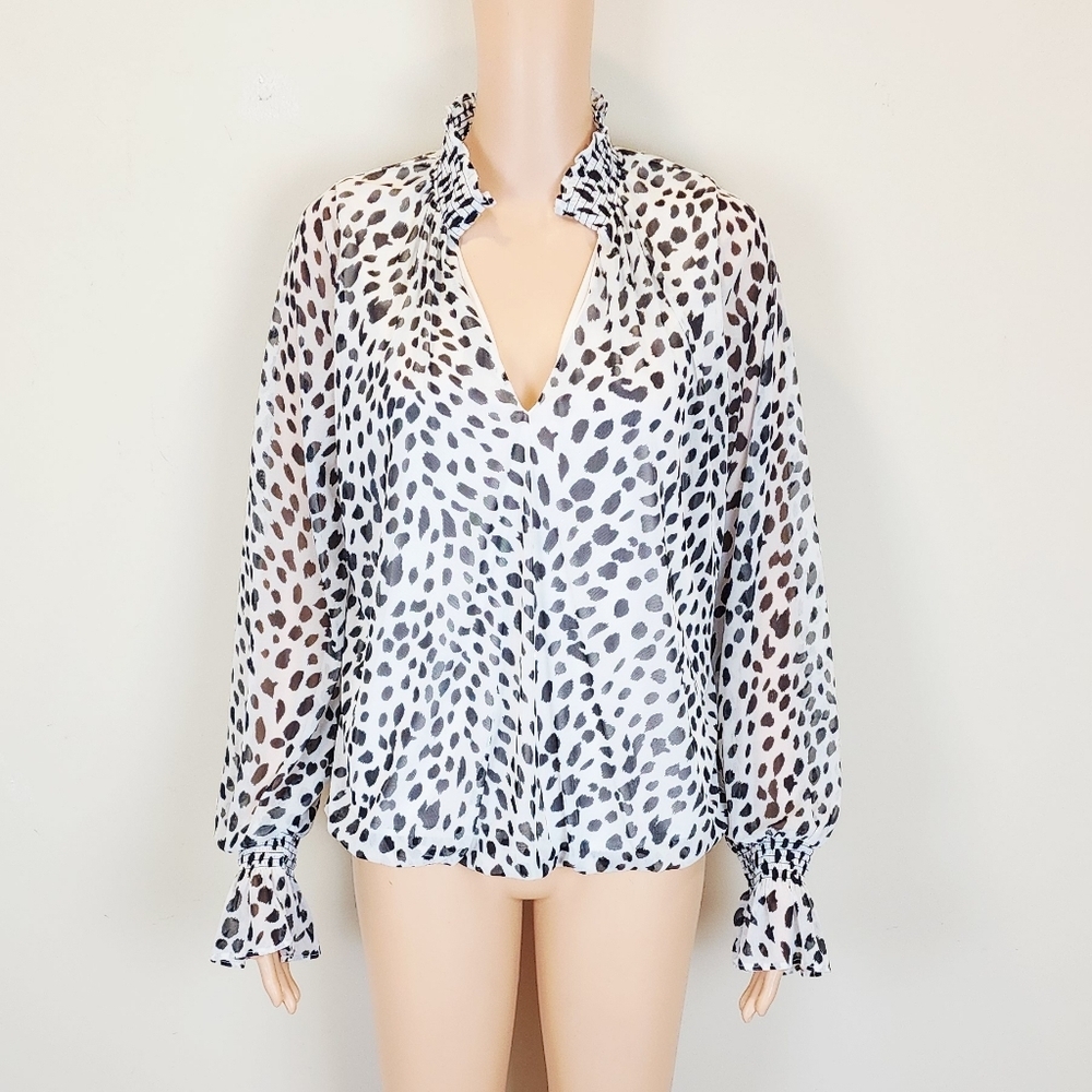 Express Animal Print Long Sleeve V-neck Blouse